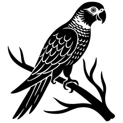  Parrot perched on a branch silhouette vector illustration 