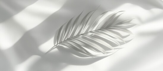 Fototapeta premium Minimalist palm leaf shadow overlay for elegant product placement in aesthetic display on soft textured background.