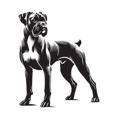 Boxer Dog silhouette showcasing powerful posture and form - Boxer Dog illustration - minimal Boxer Dog vector