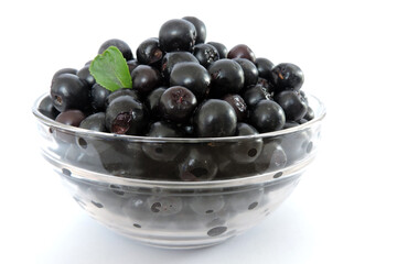 Fresh ripe aronia berries decorated with a green leaf in a glass bowl, white background, side view