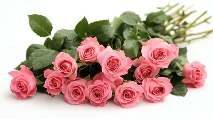 Fototapeta premium Delicate pink roses arranged elegantly on a clean white background showcasing beauty and freshness for floral design concepts.