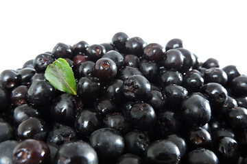 A heap of fresh aronia berries decorated with a green leaf, white background