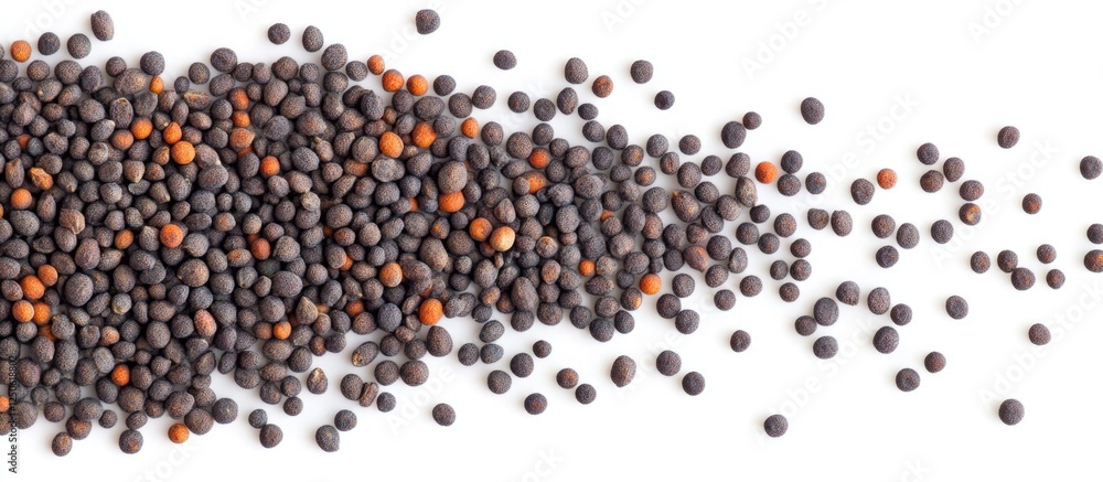 Poster macro shot of assorted poppy seeds on a white background showcasing their organic texture and color 