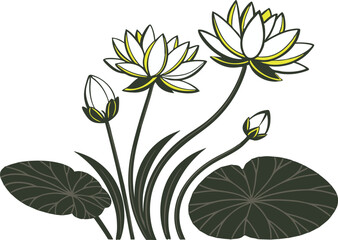 Water Lilies Nature's Floating Art