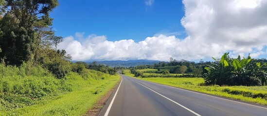 Scenic rural road with dividing white stripes amidst lush greenery and blue sky with clouds. Perfect for travel and exploration themes.