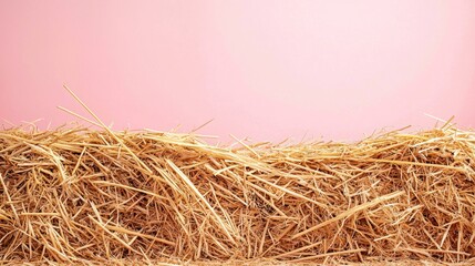 Naklejka premium Hay bale close-up in a farm; solid color pink background for seasonal themes