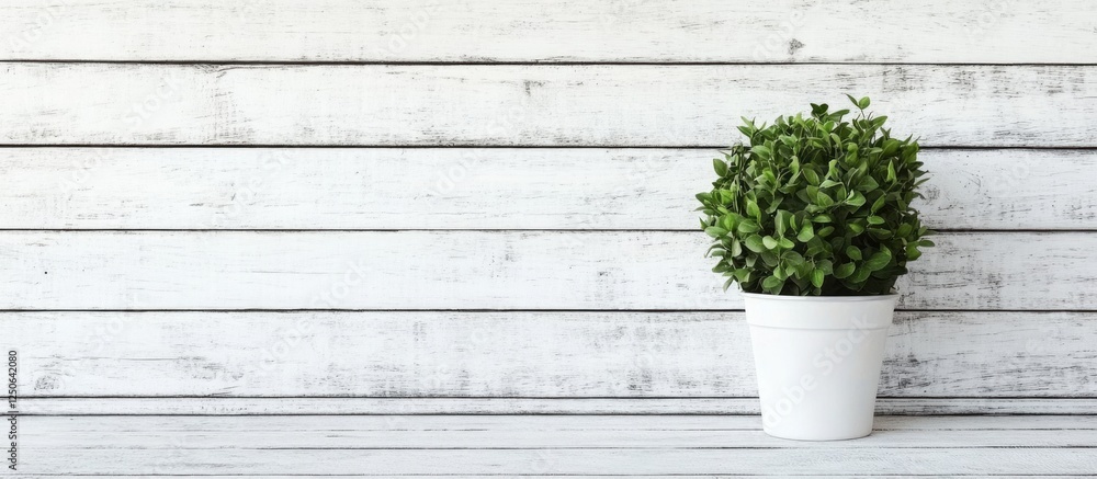 Poster rustic white wooden wall with green potted plant creating a serene atmosphere and ample space for te