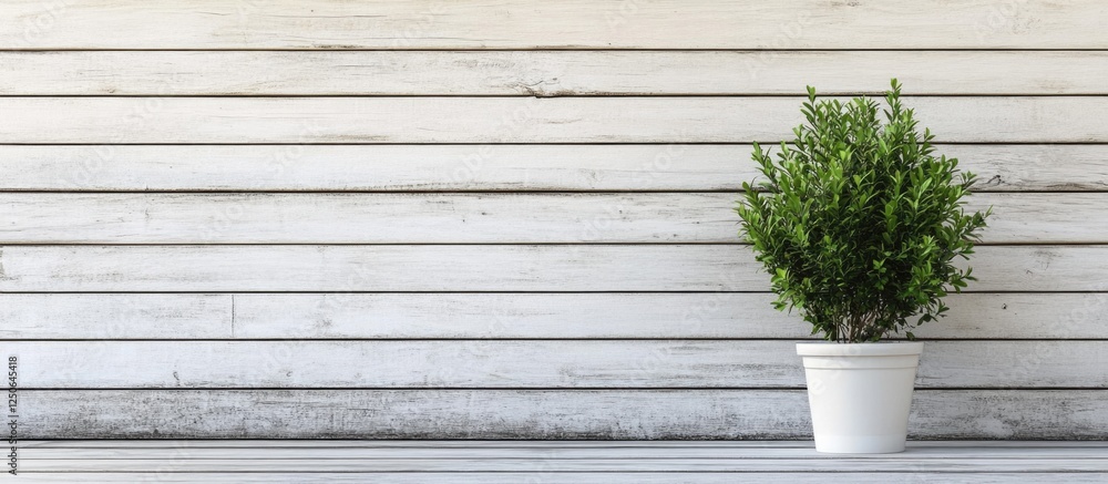 Aufkleber Rustic wooden wall background with green potted plant creating an inviting atmosphere and ample space for custom text or branding.
