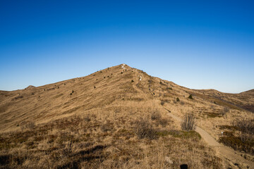 Scenic autumn landscapes from a trekking loop in Bieszczady, featuring views from Tarnica, Halicz, Rozsypaniec, Bukowe Berdo, Połonina Wetlińska, and the Ukrainian Bieszczady under a clear blue sky