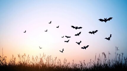 Silhouette Bats Flying At Sunset Sky