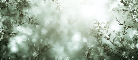 Green and white bokeh background created by natural elements with soft light reflections and a serene atmosphere for design projects.