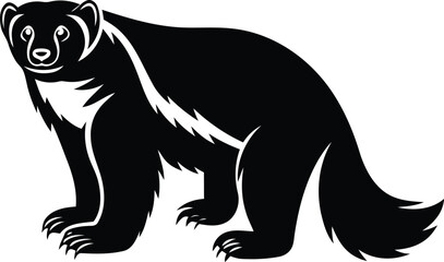 Premium quality North American wolverine isolated silhouette and line art vector design