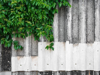 Grunge Retro cement corrugated tiles wall texture background.