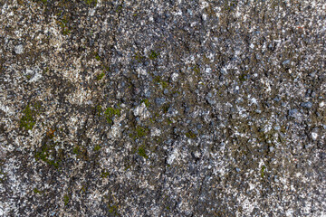 Black Stain of Dry Moss or Lichen on Rough Textured Plaster Concrete