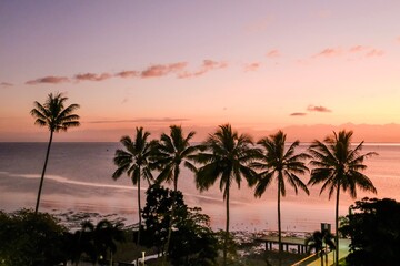 Pink sunset over the Coral Sea and palm trees along Cairns Esplanade — Far North Queensland,...