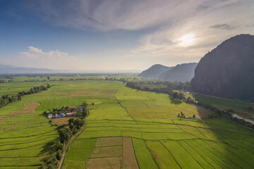 Obraz premium Aerial view of green paddy field with mountain background, Asia.