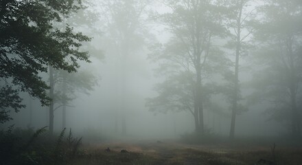 A calming forest landscape covered in soft mist, with a dreamy and ethereal atmosphere, ideal for relaxation, meditation, and wellness themes.