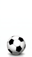 Fototapeta premium Soccer Ball on White Background