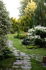 summer ornamental garden view with curvy natural stone pathway and blooming hydrangea paniculata
