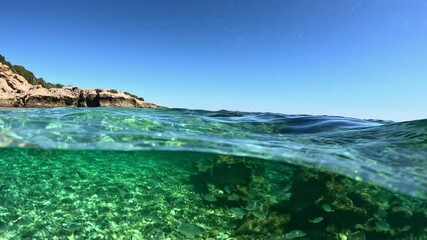 Underwater world of Kefalonia, where schools of fish swim in Ionian Sea blue water. Camera slowly dive into the crystal clear water with lots of fish of Ionian Sea in Kefalonia island, Greece