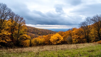 Autumn landscape with vibrant colored trees under a dramatic cloudy sky filled with texture : Generative AI