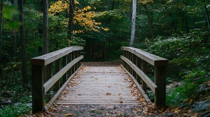Fototapeta premium Beautiful wooden footbridge surrounded by vibrant fall foliage in a peaceful forest setting : Generative AI