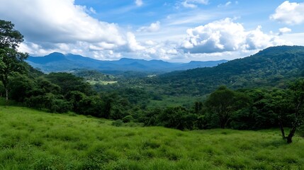Obraz premium Expansive lush green valley with distant mountains under a bright blue sky scattered with fluffy clouds : Generative AI