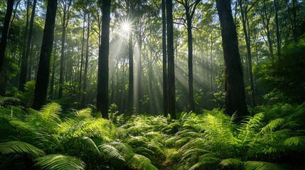 Fototapeta premium Sunbeams Dancing Through Lush Forest