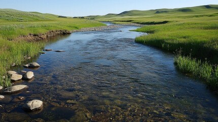 Serene River Landscape in Grassland