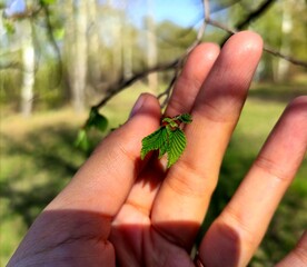 butterfly on hand