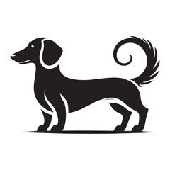 Bold Dachshund silhouette designed with clear and strong lines - Dachshund illustration - minimal Dachshund vector - dog silhouette
