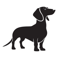 Dachshund silhouette featuring a playful yet sophisticated stance - Dachshund illustration - minimal Dachshund vector - dog silhouette
