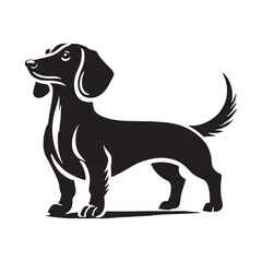 Dachshund silhouette capturing the breed’s distinctive short legs - Dachshund illustration - minimal Dachshund vector - dog silhouette
