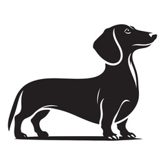 Simple and clean Dachshund silhouette for professional designs - Dachshund illustration - minimal Dachshund vector - dog silhouette

