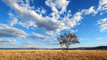 Obraz premium Solitary Tree Standing Tall in an Open Field Under a Beautiful Sky with Fluffy Clouds and Blue Tones : Generative AI