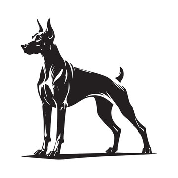 recommend clip art: Doberman Pinscher silhouette suitable for pet-related graphic design - Doberman Pinscher illustration - minimal Doberman Pinscher vector - dog silhouette
                    