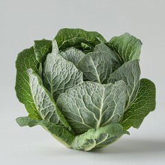 Fototapeta premium A crisp green lettuce head with detailed leaves against a white background, isolated beautifully,
