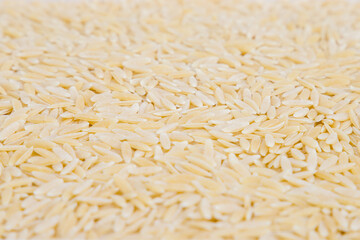 uncooked orzo pasta, rice shaped pasta, selective focus 