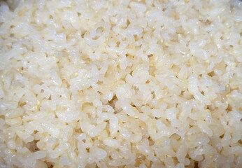 日本のお米・精米して土鍋で炊いた３分搗き米／Japanese rice: 3-minute pounded rice that has been polished and cooked in an earthenware pot.／일본의 쌀·정미하고 흙냄비로 끓인 3분 짠 쌀