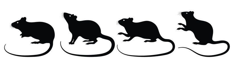 Rat or mouse shadow. Animal silhouettes on white background. Zodiac animal for design, card, sticker, calendar, website, Application. Vector illustration.