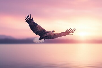 Obraz premium Bald eagle flying over a lake at sunrise with a colorful sky. Freedom and nature concept