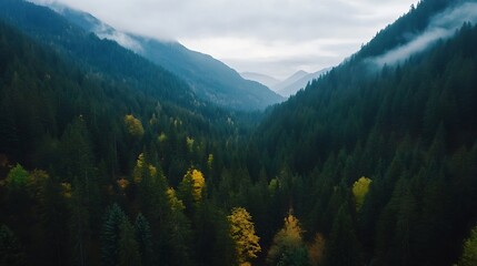 Fototapeta premium Aerial view of lush green valley surrounded by mountains and misty clouds : Generative AI