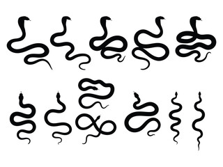 Snake shadow. Animal silhouettes on white background. Zodiac animal for design, card, sticker, calendar, website, Application. Vector illustration.