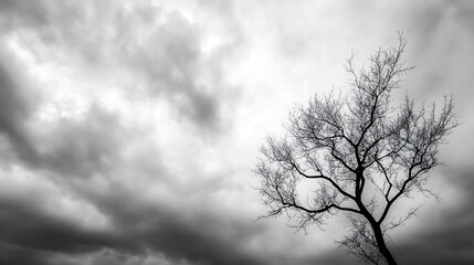 Obraz premium Barren tree silhouetted against a dramatic stormy sky creating a somber mood in monochrome : Generative AI
