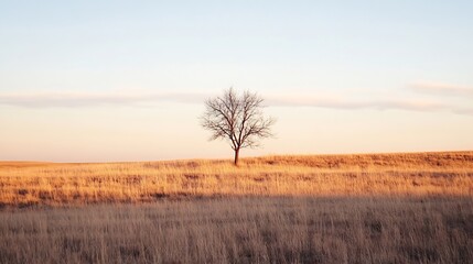 Solitary Tree Against an Open Field at Dusk : Generative AI