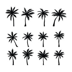 Black palm tree set vector illustration isolated on white background silhouette art black white stock illustration logo icon png. tropical, beach, landscape, pattern, paradise, coconut background