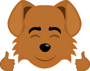 vector illustration emoji character face dog cartoon, with a happy expression and his hands with the thumbs up
