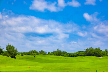 爽やかな南国の青空と青い海・ヤシの木と鮮やかな芝が映えるリゾートのゴルフ場（沖縄県宮古島市）