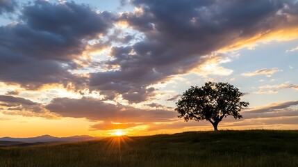 Fototapeta premium Stunning sunset over a solitary tree on a green hill framed by dramatic clouds and golden light : Generative AI