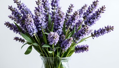 Obraz premium Fresh Lavender Bouquet in Glass Vase Against White Background
